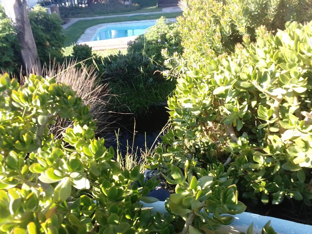 Coco De Mer Self Catering Log 1 แลมเบิร์ตส์เบย์ ภายนอก รูปภาพ